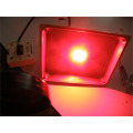 Aluminium Brideglux meanwell hot selling 30 w changement de couleur led flood light in market